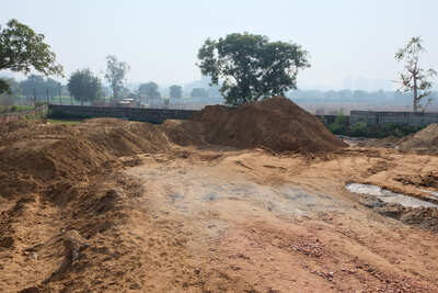 Roots Courtyard 2 - Construction Update - january 2026